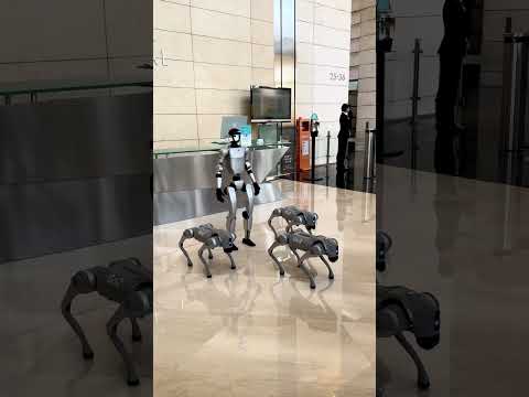 Robot Dogs Replacing Guards? The Rise of AI Security is Here 🤖🐕 #RobotRevolution