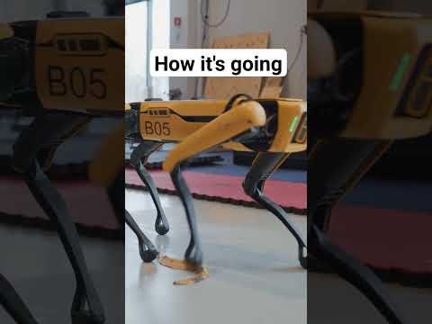 The next step for Spot #bostondynamics #robotics