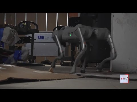 Robot Security Dogs Now Guard Atlanta Construction Sites | Will AI Replace Human Patrols?
