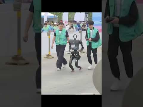 The Race You Never Saw Coming: Robots on the Run 🤖