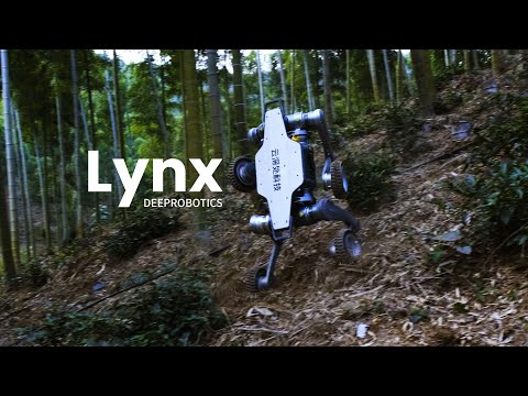 Extreme Off-Road | DEEPRobotics Lynx All-Terrian Robot