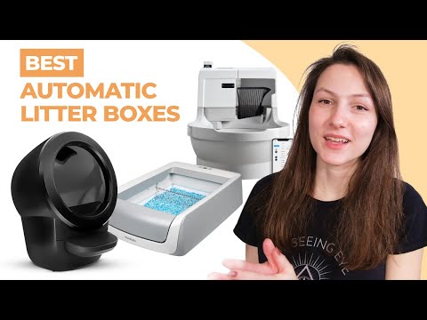 The Best Automatic Litter Boxes of 2023 - We Tried 20 So You Don&#039;t Have To!