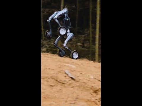 Lynx: The Revolutionary Wheel-Legged Robot Dog | All-Terrain Mobility Redefined